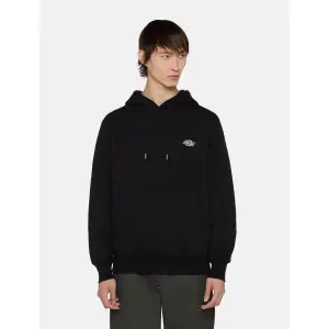 Sudadera con capucha Dickies Summerdale image-1