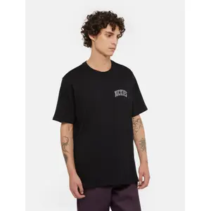 T-shirt Dickies Aitkin Chest image-2