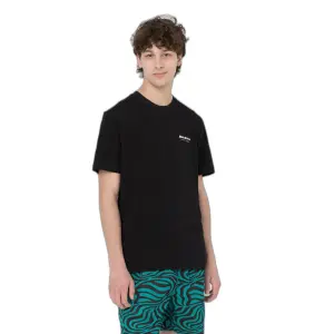 T-shirt Dickies Leesburg Box image-1