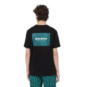 T-shirt Dickies Leesburg Box image-4