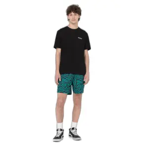 T-shirt Dickies Leesburg Box image-2