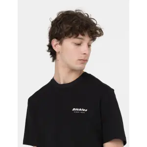 T-shirt Dickies Leesburg Box image-5