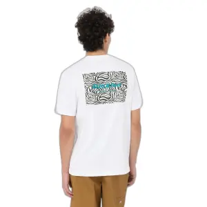 T-shirt Dickies Leesburg Box image-4