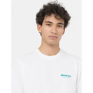 T-shirt Dickies Leesburg Box image-5