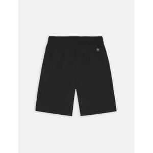 Cargo Shorts Dickies Jackson image-1