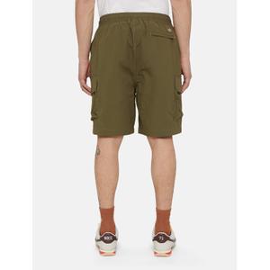 Cargo Shorts Dickies Jackson image-1