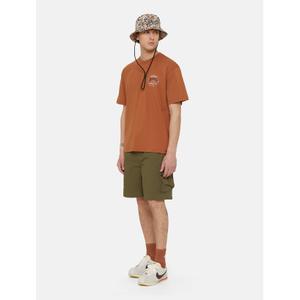 Cargo Shorts Dickies Jackson image-2