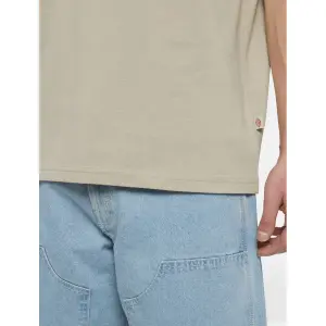 T-shirt Dickies Summerdale image-2