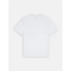 T-shirt Dickies Summerdale image-1