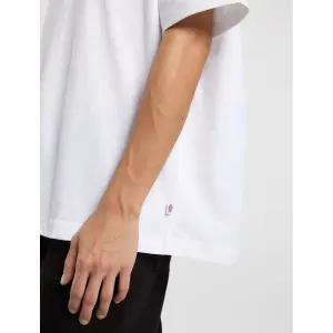 T-shirt Dickies Summerdale image-2