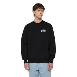 product/d/i/dickies_dk0a4ybgj391_1.jpg