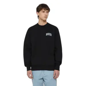 Felpa Dickies Aitkin