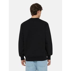 Felpa Dickies Aitkin image-1