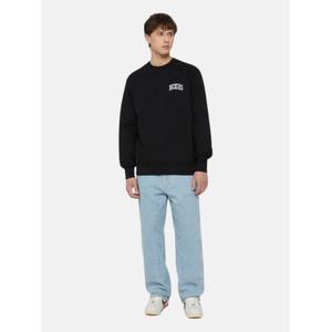 Felpa Dickies Aitkin image-2