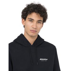 Kapuzenpullover Dickies Leesburg Box image-3