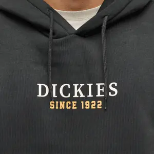 product/d/i/dickies_dk0a4yehblk1_5.jpg