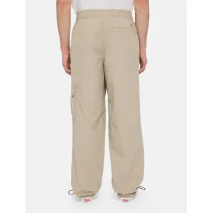 Pantalon cargo Dickies Jackson image-1