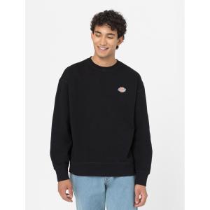 product/d/i/dickies_dk0a4ylzblk1_2.jpg