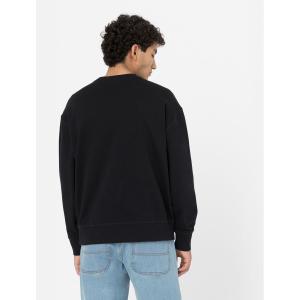 product/d/i/dickies_dk0a4ylzblk1_3.jpg