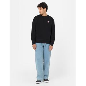 product/d/i/dickies_dk0a4ylzblk1_4.jpg