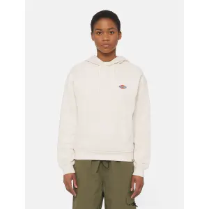 Sudadera con capucha Dickies Millersburg image-1