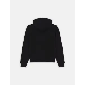 Sweatshirt med hætte til kvinder Dickies Clancy image-2