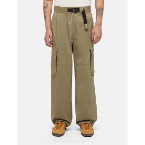 Cargo-Hose Dickies Flight Double Knee image-1