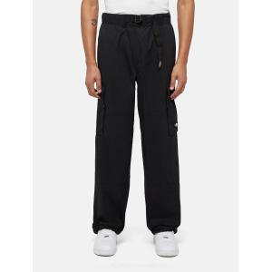 Cargo-Hose Dickies Flight Double Knee image-1