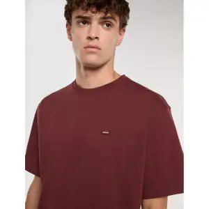 Mittelschweres T-Shirt Dickies Clancy image-2
