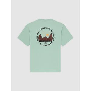 T-shirt Dickies image-1