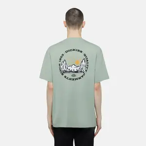 T-shirt Dickies image-2