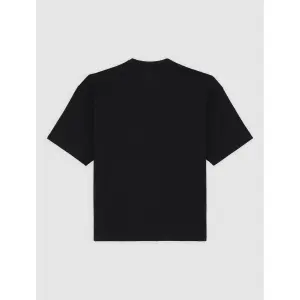 Camiseta Dickies Lewistown image-2