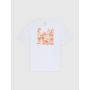 Póló Dickies Companion image-1