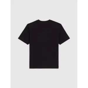 Γυναικείο T-shirt Dickies Maple Valley image-2