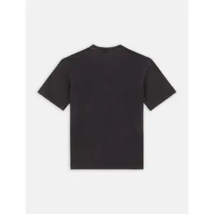 T-shirt Dickies Plentywood image-2