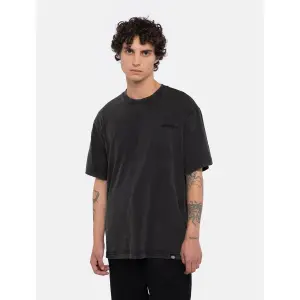 T-shirt Dickies Plentywood image-1