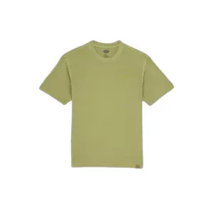 T-Shirt Dickies Plentywood image-0