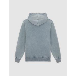 Sweatshirt med huva Dickies Plentywood image-2