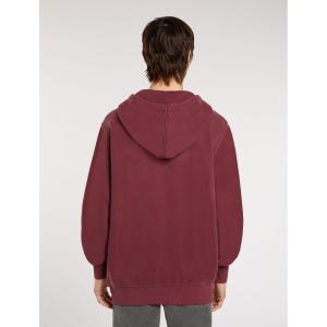 Sweatshirt med huva Dickies Plentywood image-4