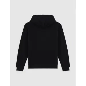 Sudadera con capucha Dickies Lewistown image-2