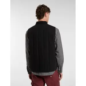 Chaleco Dickies Canvas image-3