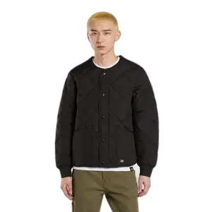 Μπουφάν Dickies Samburg image-0