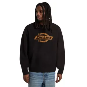 product/d/i/dickies_dk0a87oqblk1_black_2.jpg