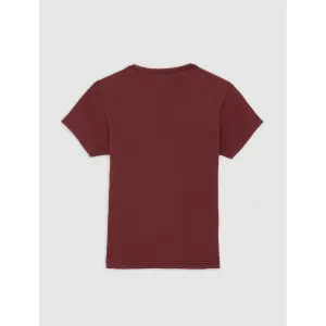 T-Shirt Dickies Gladeville image-2