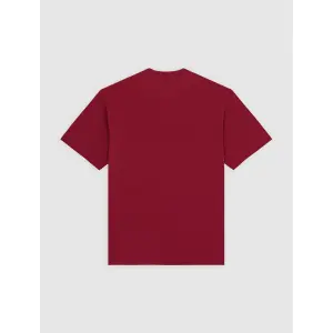 T-Shirt Dickies Flag image-3