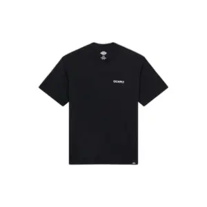 Leichtes T-Shirt Dickies Burns image-0