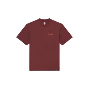 Leichtes T-Shirt Dickies Burns image-0