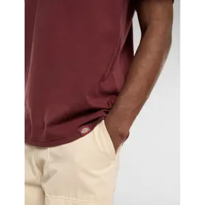 Leichtes T-Shirt Dickies Burns image-3