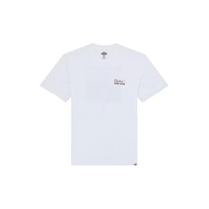 product/d/i/dickies_dk0a87qn0wh1_white_1.jpg