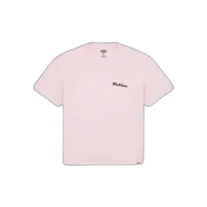 T-Shirt Dickies Slayden image-0